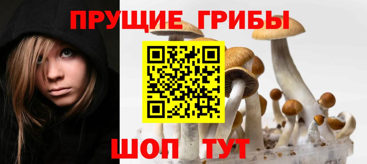 Заводоуковск  Псилоцибиновые грибы ЛСД  Вход с VPN 